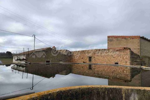 Landejendom i Almansa, Albacete, Almansa - € 125.000 | Ref: SF0553 - foto 21